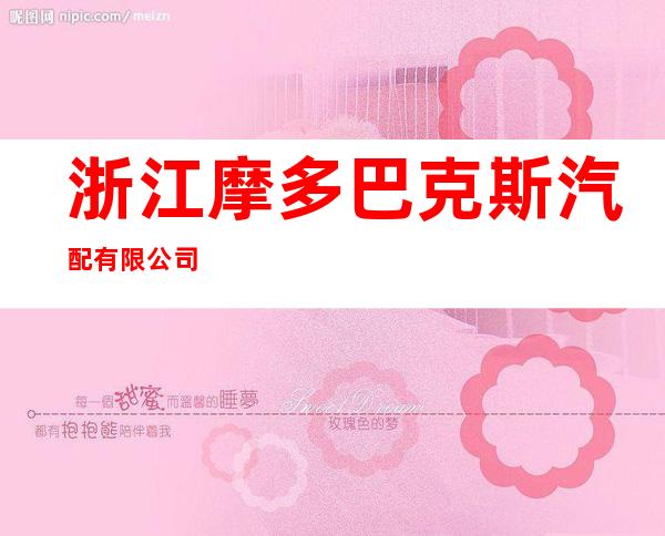浙江摩多巴克斯汽配有限公司
